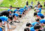 全校児童で取り組んだ最後の田植え