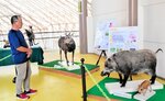 野生動物の剝製やパネルが並ぶ会場＝豊岡市日高町名色の全但バス但馬ドーム