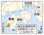 　大阪市「海遊館」、愛媛県宇和島市、高知県土佐清水市「海洋生物研究所以布利センター」