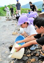 バケツに入れられたアユの成魚を川に放す子どもたち＝２５日、新温泉町七釜