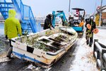 橋津川に違法に放置された船を撤去する関係者＝１８日、湯梨浜町内