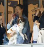 　ドジャースがリーグ優勝を果たし、愛犬を抱いて笑顔を見せる大谷の妻真美子さん＝ロサンゼルスのドジャースタジアム（共同）