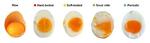　（左から）生卵、固ゆで卵、半熟卵、６０～７０度で長時間温めた卵、周期調理した卵（Ｐｅｌｌｅｇｒｉｎｏ　Ｍｕｓｔｏ　ａｎｄ　Ｅｒｎｅｓｔｏ　Ｄｉ　Ｍａｉｏ提供）
