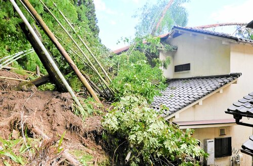 裏山が崩れて土砂と倒木が直撃した住宅＝１６日、香美町村岡区和田