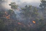 　ギリシャのロードス島の森林で燃え広がる山火事＝２２日（ロイター＝共同）