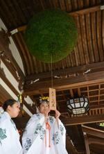 　新しい大杉玉に木札を付ける巫女＝１３日午前、奈良県桜井市の大神神社