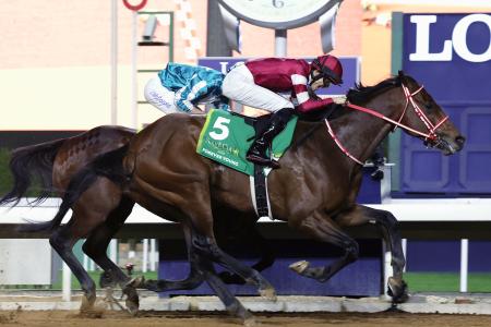 　サウジカップを制した坂井瑠星騎乗のフォーエバーヤング＝キングアブドルアジズ競馬場