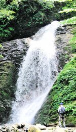 豪快に流れ落ちる要滝。小代の多様な地質と豊富な水が渓谷美をつくりだしている
