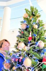 ハリセンボンの剥製をオーナメントにしたクリスマスツリー＝１４日、香美町香住区境のジオパークと海の文化館