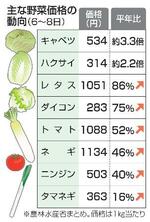 　主な野菜価格の動向