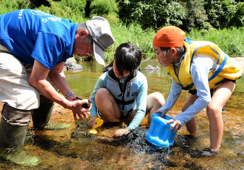 まちづくり委員会のメンバーと一緒に川で生き物探しをする子どもたち