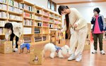 愛犬とレクリエーションを楽しむ参加者ら＝７日、倉吉市下福田の人と動物の未来センター・アミティエ
