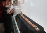 　奈良県立橿原考古学研究所付属博物館で一般公開が始まった蛇行剣＝３０日午後、橿原市