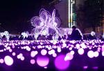 　札幌・大通公園で始まった「第４３回さっぽろホワイトイルミネーション」＝２２日夜