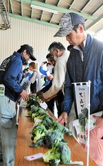 ブロッコリーを手に取る生産者たち＝１２日、大山町赤坂の大山青果物集出荷予冷センター