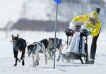 　２０２３年２月に開催された「ジャパンカップ全国犬ぞり稚内大会」で疾走する犬ぞり＝北海道稚内市