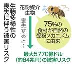 生物多様性の喪失に伴う被害リスク