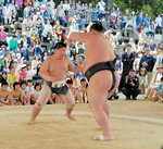 桜ずもうに出場し、部屋の力士と相撲を取る落合哲也さん（左）＝２０１５年４月26日、倉吉市