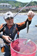  アユを釣り上げる釣り人＝１日、鳥取市用瀬町別府 