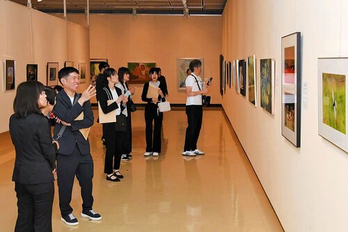 さまざまなジャンルの力作が並び、鑑賞者を魅了している美術展＝２日、鳥取市の県立博物館