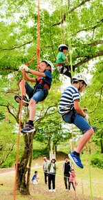 【絶景目指して】ロープワークで登っていく子どもたち。木の上には特別な眺めが待っている
