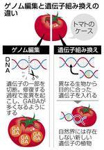 　ゲノム編集と遺伝子組み換えの違い