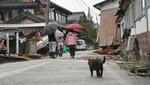 　地震の被害を受けた石川県珠洲市を歩く人たち＝３日午後