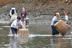 何度も竹製漁具「うぐい」を池に振り下ろす参加者＝６日、鳥取市気高町睦逢の大堤池