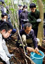 朽ちた木の中のヤマトシロアリを探す参加者ら＝２９日、鳥取市若葉台北１丁目の鳥取環境大