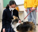 セラピー犬と触れ合う生徒