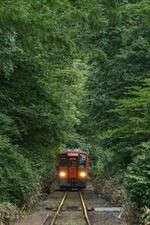 　ＪＲ木次線を走る列車＝７月、広島県庄原市