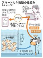 　スマートカキ養殖の仕組み（イメージ）