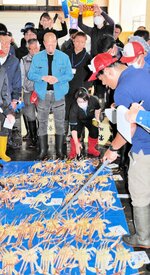 上屋に並べられた松葉ガニを競る仲買人ら＝６日、新温泉町の浜坂漁港