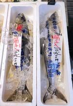 　札幌市の鮮魚店で売られる北海道産の秋サケ＝１日
