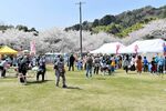手作りの多目的広場で開催した「茶臼山桜まつり」＝今年４月