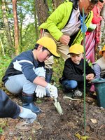 ササユリの植え付けを体験する児童ら＝２１日、南部町のとっとり花回廊