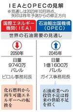 　ＩＥＡとＯＰＥＣの見解