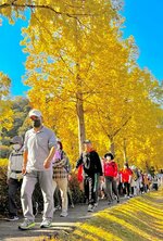 快晴の下、樹木が色づく景色を楽しみながら歩く参加者＝３日、鳥取県米子市車尾
