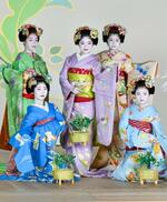 　「祇園をどり」を前に、華やかな着物姿で写真撮影に臨む舞妓＝３１日、京都市東山区