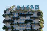 　中国不動産大手、碧桂園の本部ビル＝２０２３年１１月、中国広東省仏山市（共同）