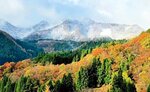 今季の初冠雪が確認された鉢伏山＝１９日午前８時２０分ごろ、香美町村岡区大笹（ハチ北観光協会提供）