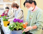 バランスを考えながら花を植え付ける参加者＝６日、新温泉町湯の美方郡広域シルバー人材センター