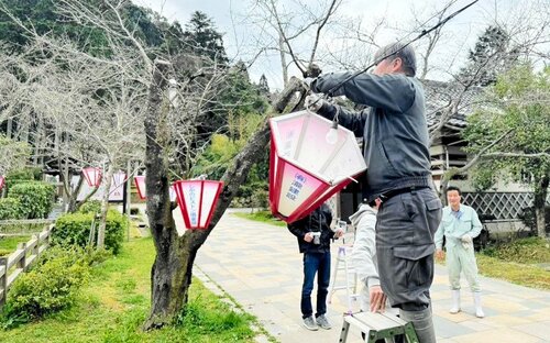 公園にぼんぼりを設置する関係者