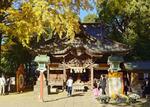 　田無神社の「本殿・拝殿」＝東京都西東京市