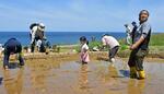 　石川県輪島市の「白米千枚田」で田植えが始まり、苗を植える子どもら＝１１日午前