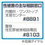 　性被害の主な相談窓口