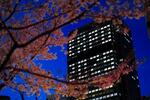 　大阪市内のビルに浮かび上がった、万博をＰＲする「ＥＸＰＯ　２０２５」の文字。１３日で開幕１年前となる＝１２日夕