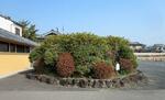 　法隆寺の参道脇駐車場に残る小さな高まり＝２０２２年３月、奈良県斑鳩町（同町教育委員会提供）
