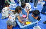　奈良県大和郡山市で開かれた金魚すくいの全国大会＝２０日午後