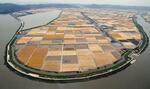 　二条大麦の収穫が本格化している岡山市南区の児島湾の干拓地。収穫前後の畑が入り交じり、モザイク模様の風景が広がる＝２２日午前（共同通信社ヘリから）